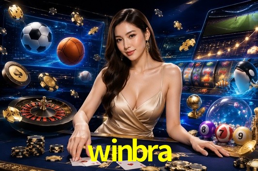 Security Systems winbra